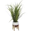 imageThe Novogratz Faux Foliage Grass Tall Artificial Plant with Realistic Leaves and Porcelain Pot on Wooden Stand 20quot x 8quot x 35quot GreenGreen