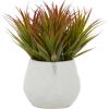 imageThe Novogratz Faux Foliage Striped Stemmed Aloe Artificial Plant with White Ceramic Pot 9 inch x 9 inch x 9 inch Green