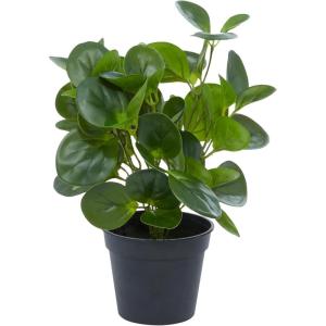 imageDeco 79 Faux Foliage Eucalyptus Artificial Plant Indoor Outdoor with Realistic Leaves and Black Round Pot 10quot x 7quot x 13quot Green