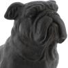 imageDeco 79 Polystone Bulldog Decorative Sculpture Weathered Sitting Home Decor Statue Accent Figurine 17quot x 9quot x 13quot Brown