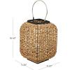 imageThe Novogratz Dried Plant Handmade Decorative Candle Lantern with Glass Holder and Handle 12quot x 11quot x 16quot Brown