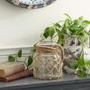 imageDeco 79 Glass Decorative Candle Lantern with Rope Handle 8quot x 7quot x 8quot ClearBrown