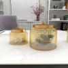 imageCosmoLiving by Cosmopolitan Glass Decorative Jars with Metal Lids Set of 2 4quot 5quotH Gold
