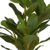 imageDeco 79 Faux Foliage Bay Laurel Artificial Plant with Realistic Leaves and Square Porcelain Pot 9quot x 9quot x 15quot Green