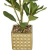 imageDeco 79 Faux Foliage Bay Laurel Artificial Plant with Realistic Leaves and Square Porcelain Pot 9quot x 9quot x 15quot Green