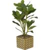 imageDeco 79 Faux Foliage Bay Laurel Artificial Plant with Realistic Leaves and Square Porcelain Pot 9quot x 9quot x 15quot Green