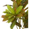 imageDeco 79 Faux Foliage Crotons Artificial Plant with Realistic Leaves and Floral Patterned Pot 16quot x 18quot x 30quot Green