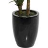 imageDeco 79 Faux Foliage Dracaena Artificial Plant with Realistic Leaves and Black Fiberglass Pot 17quot x 19quot x 31quot GreenGreen