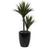 imageDeco 79 Faux Foliage Dracaena Artificial Plant with Realistic Leaves and Black Fiberglass Pot 17quot x 19quot x 31quot GreenGreen