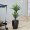 imageDeco 79 Faux Foliage Dracaena Artificial Plant with Realistic Leaves and Black Fiberglass Pot 17quot x 19quot x 31quot GreenGreen