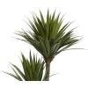 imageDeco 79 Faux Foliage Dracaena Artificial Plant with Realistic Leaves and Black Fiberglass Pot 17quot x 19quot x 31quot GreenGreen