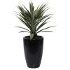 imageDeco 79 Faux Foliage Dracaena Artificial Plant with Realistic Leaves and Black Fiberglass Pot 30quot x 28quot x 37quot Green