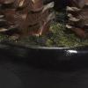 imageDeco 79 Faux Foliage Dracaena Artificial Plant with Realistic Leaves and Black Fiberglass Pot 30quot x 28quot x 37quot Green