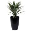 imageDeco 79 Faux Foliage Dracaena Artificial Plant with Realistic Leaves and Black Fiberglass Pot 30quot x 28quot x 37quot Green