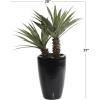 imageDeco 79 Faux Foliage Dracaena Artificial Plant with Realistic Leaves and Black Fiberglass Pot 30quot x 28quot x 37quot Green