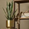 imageDeco 79 The Novogratz Faux Foliage Fern Artificial Plant with Realistic Leaves and Patterned Round Pot 13quot x 12quot x 11quot GreenGreen