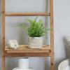 imageDeco 79 The Novogratz Faux Foliage Fern Artificial Plant with Realistic Leaves and Patterned Round Pot 13quot x 12quot x 11quot GreenGreen