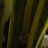 imageDeco 79 The Novogratz Faux Foliage Fern Artificial Plant with Realistic Leaves and Patterned Round Pot 13quot x 12quot x 11quot GreenGreen