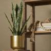imageDeco 79 The Novogratz Faux Foliage Fern Artificial Plant with Realistic Leaves and Patterned Round Pot 13quot x 12quot x 11quot GreenGreen