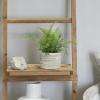imageDeco 79 The Novogratz Faux Foliage Fern Artificial Plant with Realistic Leaves and Patterned Round Pot 13quot x 12quot x 11quot GreenGreen