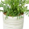 imageDeco 79 The Novogratz Faux Foliage Fern Artificial Plant with Realistic Leaves and Patterned Round Pot 13quot x 12quot x 11quot GreenGreen
