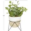 imageThe Novogratz Faux Foliage Sanchezia Artificial Plant with Realistic Leaves and Rattan Pot and Black Stand 12quot x 11quot x 16quot Green