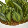 imageThe Novogratz Faux Foliage Sanchezia Artificial Plant with Realistic Leaves and Rattan Pot and Black Stand 12quot x 11quot x 16quot Green
