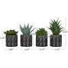 imageThe Novogratz Faux Foliage Succulent Artificial Plant Small with Realistic Leaves and Leaf Patterned Pot Set of 4 4quot 7quot 6quot H Green4 PIECES SMALL SIZE