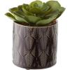 imageThe Novogratz Faux Foliage Succulent Artificial Plant Small with Realistic Leaves and Leaf Patterned Pot Set of 4 4quot 7quot 6quot H Green4 PIECES SMALL SIZE