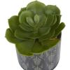 imageThe Novogratz Faux Foliage Succulent Artificial Plant Small with Realistic Leaves and Leaf Patterned Pot Set of 4 4quot 7quot 6quot H Green4 PIECES SMALL SIZE