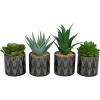 imageThe Novogratz Faux Foliage Succulent Artificial Plant Small with Realistic Leaves and Leaf Patterned Pot Set of 4 4quot 7quot 6quot H Green4 PIECES SMALL SIZE