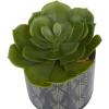 imageThe Novogratz Faux Foliage Succulent Artificial Plant Small with Realistic Leaves and Leaf Patterned Pot Set of 4 4quot 7quot 6quot H Green4 PIECES SMALL SIZE