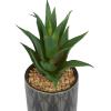 imageThe Novogratz Faux Foliage Succulent Artificial Plant Small with Realistic Leaves and Leaf Patterned Pot Set of 4 4quot 7quot 6quot H Green4 PIECES SMALL SIZE