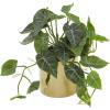 imageDeco 79 The Novogratz Faux Foliage Pothos Artificial Plant with Realistic Leaves and Gold Porcelain Pot 14quot x 14quot x 12quot GreenGreen