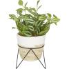 imageThe Novogratz Faux Foliage Sanchezia Artificial Plant with Realistic Leaves and Rattan Pot and Black Stand 12quot x 11quot x 16quot Green