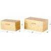 imageCosmoLiving by Cosmopolitan Wooden Decorative Box Decorative Keepsake Boxes with Textured Foiled Exterior Set of 2 Storage Boxes 13quot 11quotW Gold