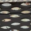 imageDeco 79 Mother of Pearl Shell Decorative Box Mosaic Storage Decorative Keepsake Boxes with Taupe Accents Set of 2 Storage Boxes 12quot 8quotW BeigeBlack