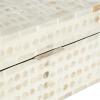imageDeco 79 Mother of Pearl Shell Decorative Box Mosaic Storage Decorative Keepsake Boxes with Taupe Accents Set of 2 Storage Boxes 12quot 8quotW BeigeCream