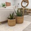 imageDeco 79 Seagrass Handmade Decorative and Functional Storage Basket Basket Organizer with Handles Set of 2 Basket for Storage 12quot 16quotW Light Brown