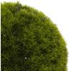 imageDeco 79 Faux Foliage Topiary Artificial Foliage Ball  15quot x 15quot x 15quot Green15 x 15 x 15