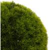 imageDeco 79 Faux Foliage Topiary Artificial Foliage Ball  15quot x 15quot x 15quot Green15 x 15 x 15