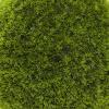 imageDeco 79 Faux Foliage Topiary Artificial Foliage Ball  15quot x 15quot x 15quot Green22 x 22 x 22