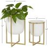 imageCosmoLiving by Cosmopolitan Metal Indoor Outdoor Planter Dome Small Planter Pot with Gold XShaped Stands Set of 2 Planters 12quot 10quotH WhiteSet of 2 Planters 12  10H