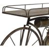imageDeco 79 Metal Bike Indoor Outdoor Plantstand Weathered Vintage Plant Shelf Plant Stand 65quot x 14quot x 35quot BronzeBronze