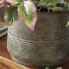 imageDeco 79 Metal Indoor Outdoor Planter Distressed Bucket Style Small Planter Pot with Side Ring Handles Set of 3 Planters 16quot 13quot 11quotW Bronze16  13  11W
