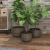 imageDeco 79 Metal Indoor Outdoor Planter Distressed Bucket Style Small Planter Pot with Side Ring Handles Set of 3 Planters 16quot 13quot 11quotW Bronze16  13  11W