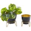 imageThe Novogratz Metal Indoor Outdoor Planter with Removable Stand Set of 2 11quot 9quotH Black