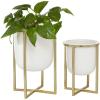 imageCosmoLiving by Cosmopolitan Metal Indoor Outdoor Planter Dome Small Planter Pot with Gold XShaped Stands Set of 2 Planters 12quot 10quotH WhiteSet of 2 Planters 12  10H