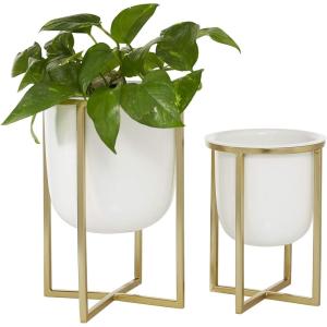 imageCosmoLiving by Cosmopolitan Metal Indoor Outdoor Planter Dome Small Planter Pot with Gold XShaped Stands Set of 2 Planters 12quot 10quotH WhiteSet of 2 Planters 12  10H
