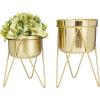 imageCosmoLiving by Cosmopolitan Metal Round Planter with Removable Stand Set of 2 7quot 7quotW SilverGold